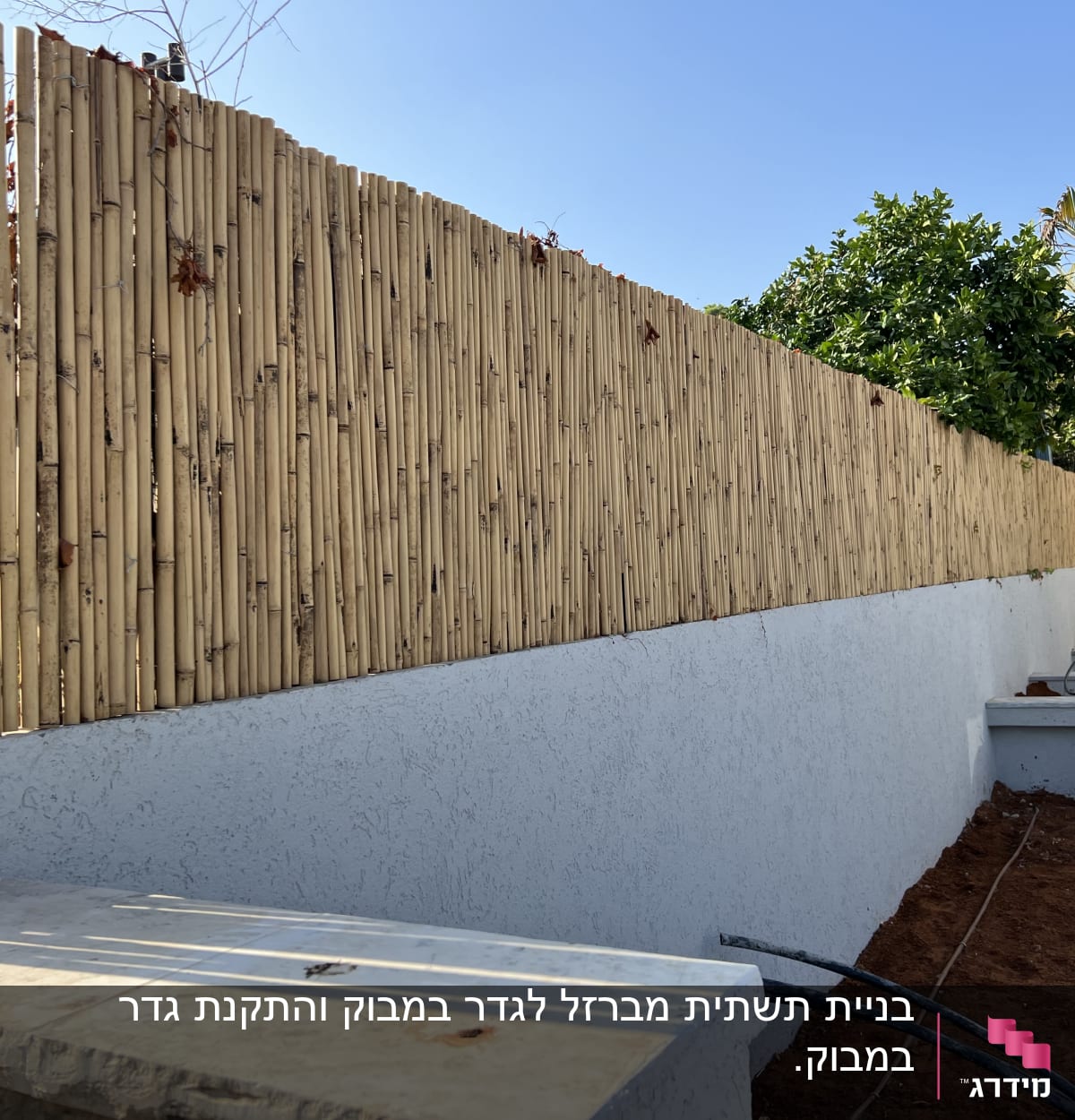 גדר במבוק גבוהה לצד גינה עם צינורות השקיה